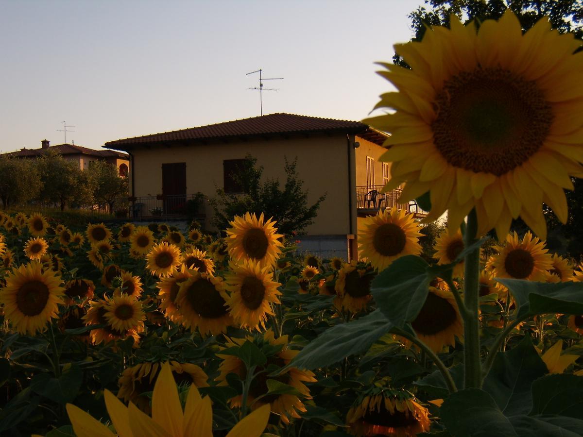 菊芋住宿加早餐酒店 Montepulciano Stazione 外观 照片